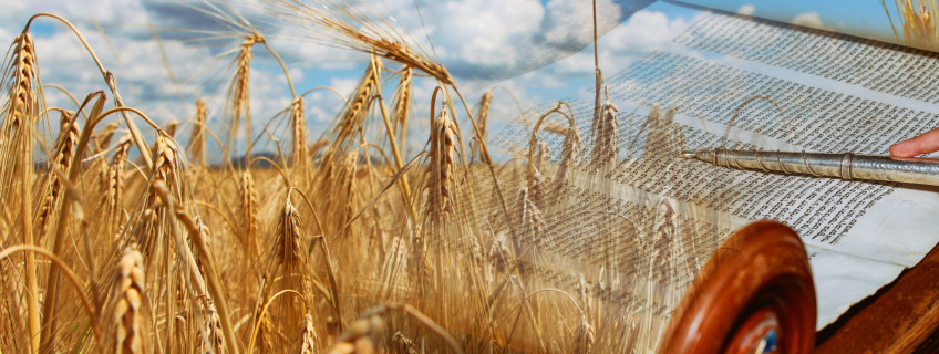 Shiur Shavuot
